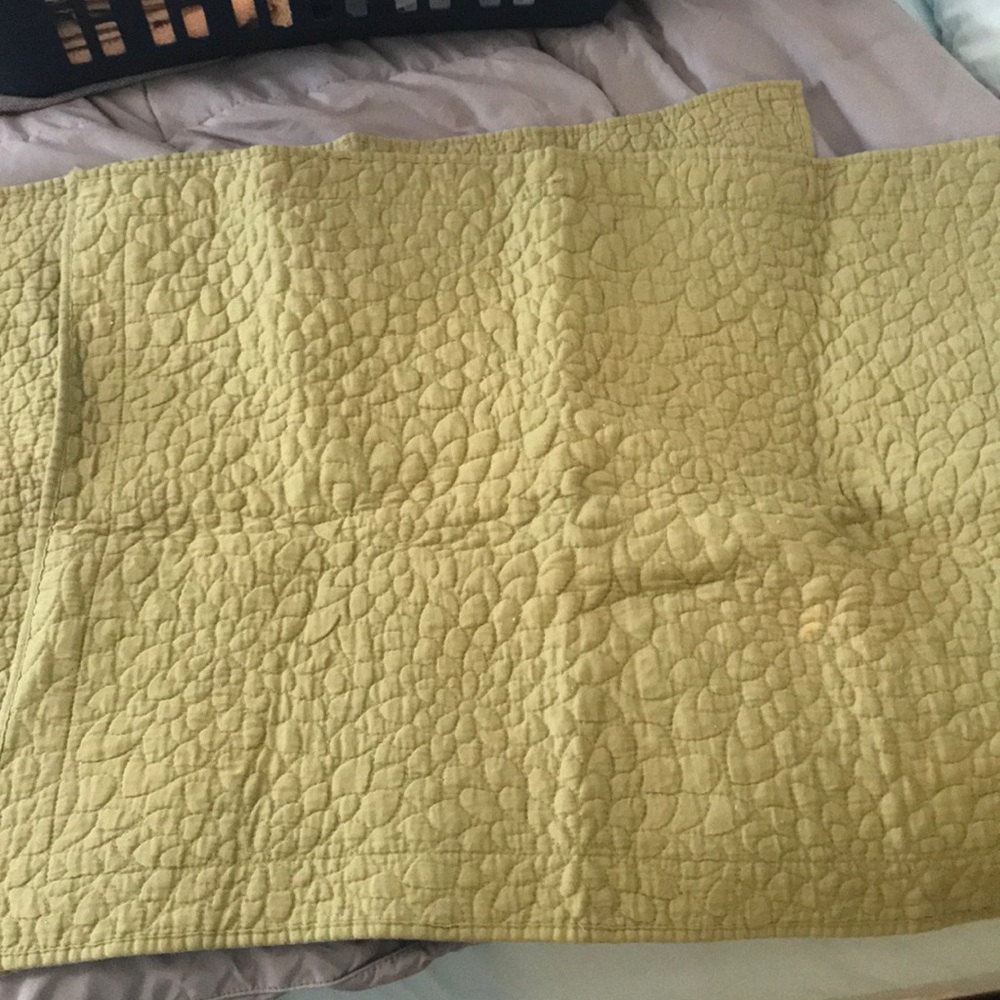 Standard Pillow Shams (2)